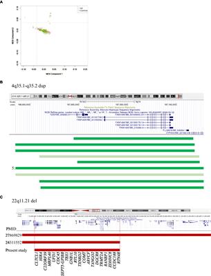 Genome-scale copy number variant analysis in schizophrenia patients and controls from South India